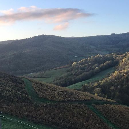 Ravissant Appartement Dans Cadre Verdoyant Marchampt Buitenkant foto