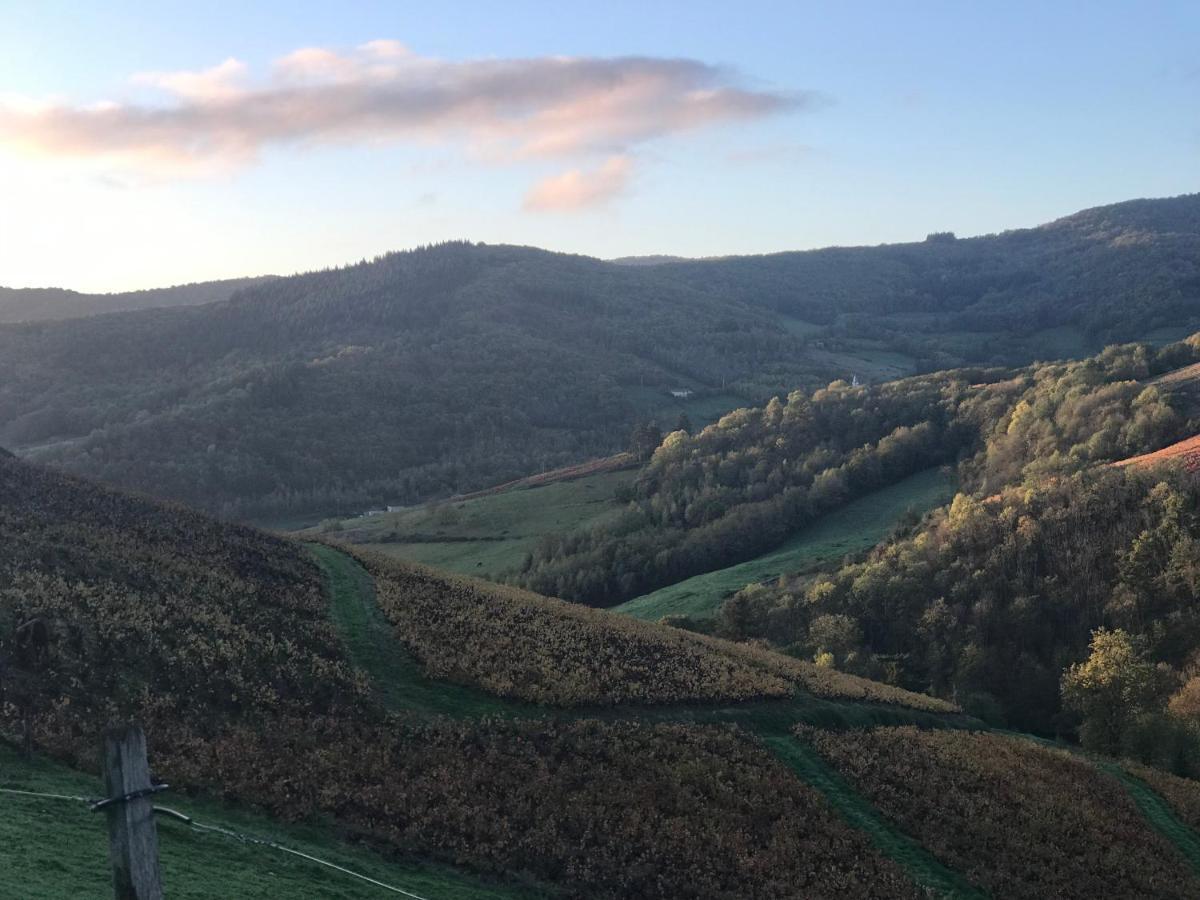 Ravissant Appartement Dans Cadre Verdoyant Marchampt Buitenkant foto