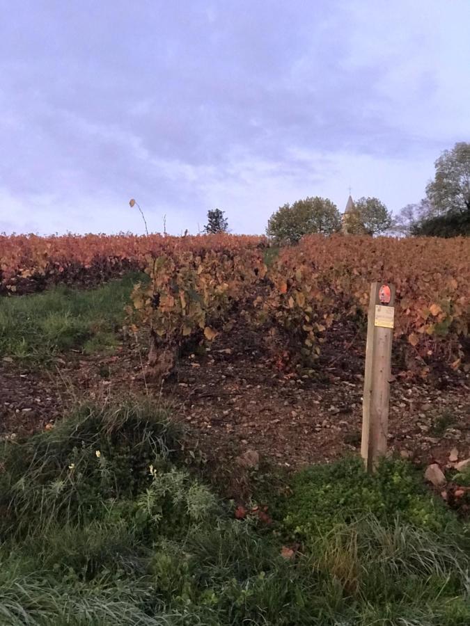 Ravissant Appartement Dans Cadre Verdoyant Marchampt Buitenkant foto